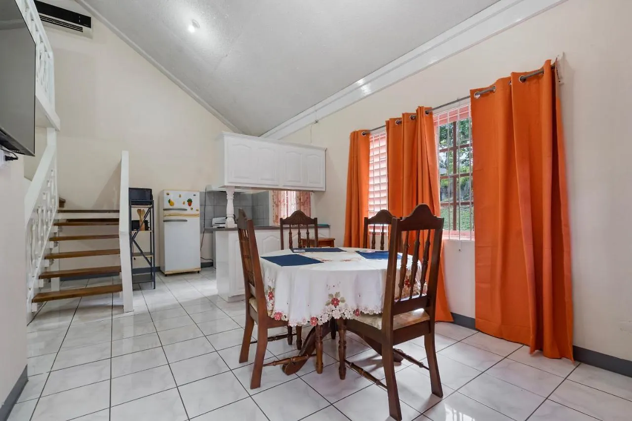 Shaw Park Gem Apt 12D Ocho Rios Jamaica
